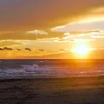 Gorgeous In בית נופש *